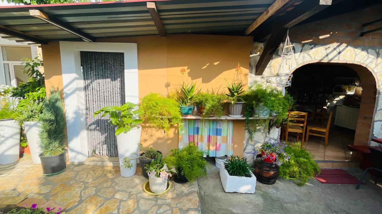 Colorful And Happy Apartment Sukosan - With Parking Esterno foto